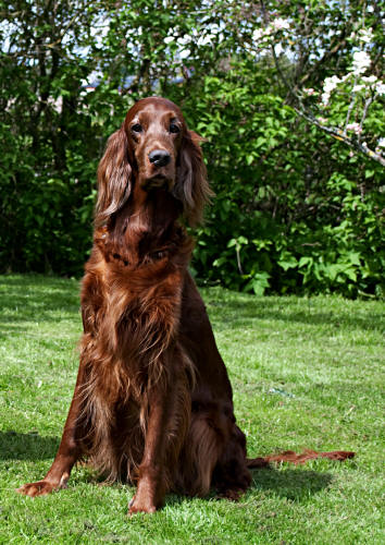 Filippa sommaren 2010