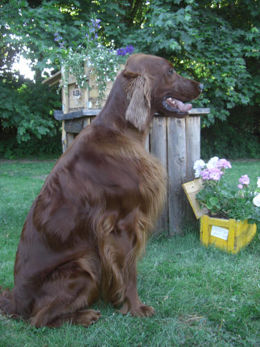 Fanny 2 juni 08