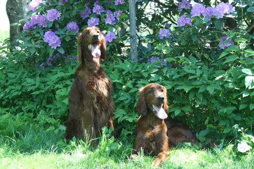 Tea och Bella juni 08